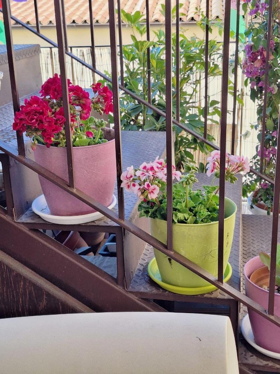 Sogni D'Oro Bed & Breakfast Agrigento Dış mekan fotoğraf