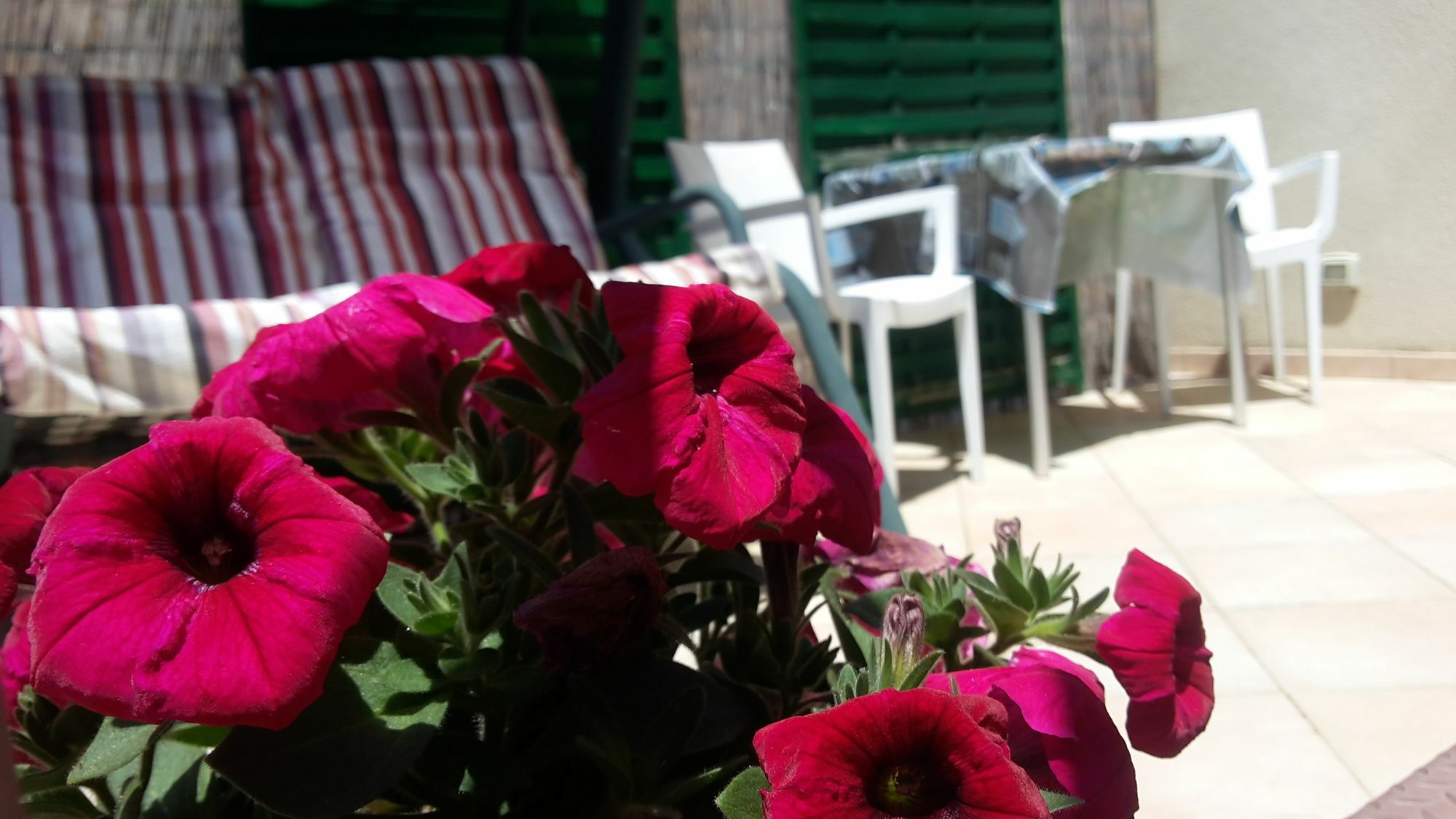 Sogni D'Oro Bed & Breakfast Agrigento Dış mekan fotoğraf